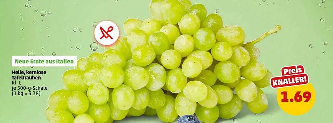 Helle, kernlose Tafeltrauben KL I - je 500-g-Schale