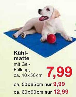 Kühlmatte mit Gel-Füllung, ca. 40x50cm