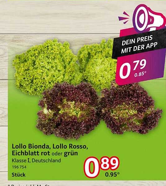 Lollo Bionda, Lollo Rosso, Eichblatt rot oder grün