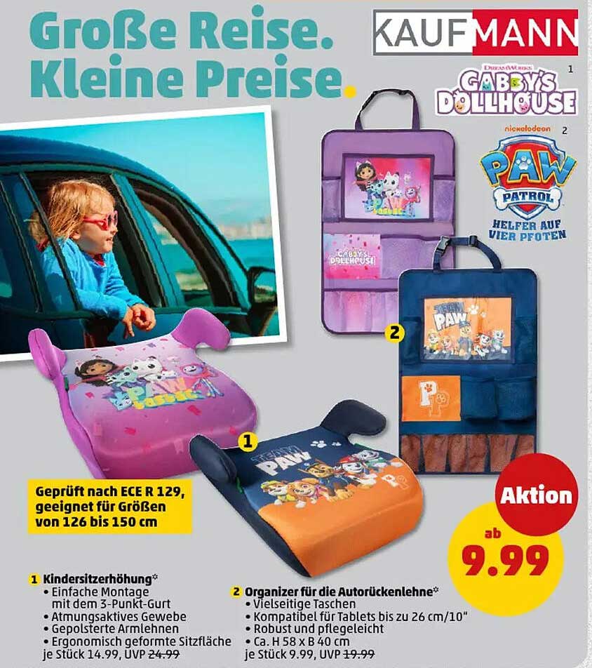 Paw Patrol Kinderautositz und Organizer für die Autolehne