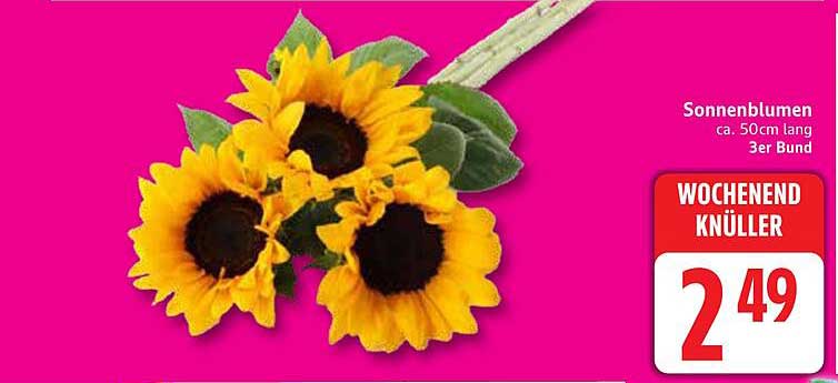 Sonnenblumen 3er Bund – Wochnendknüller