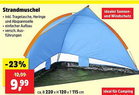 Strandmuschel