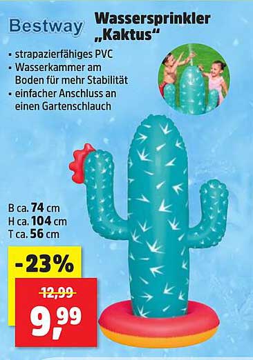 Wassersprinkler „Kaktus“
