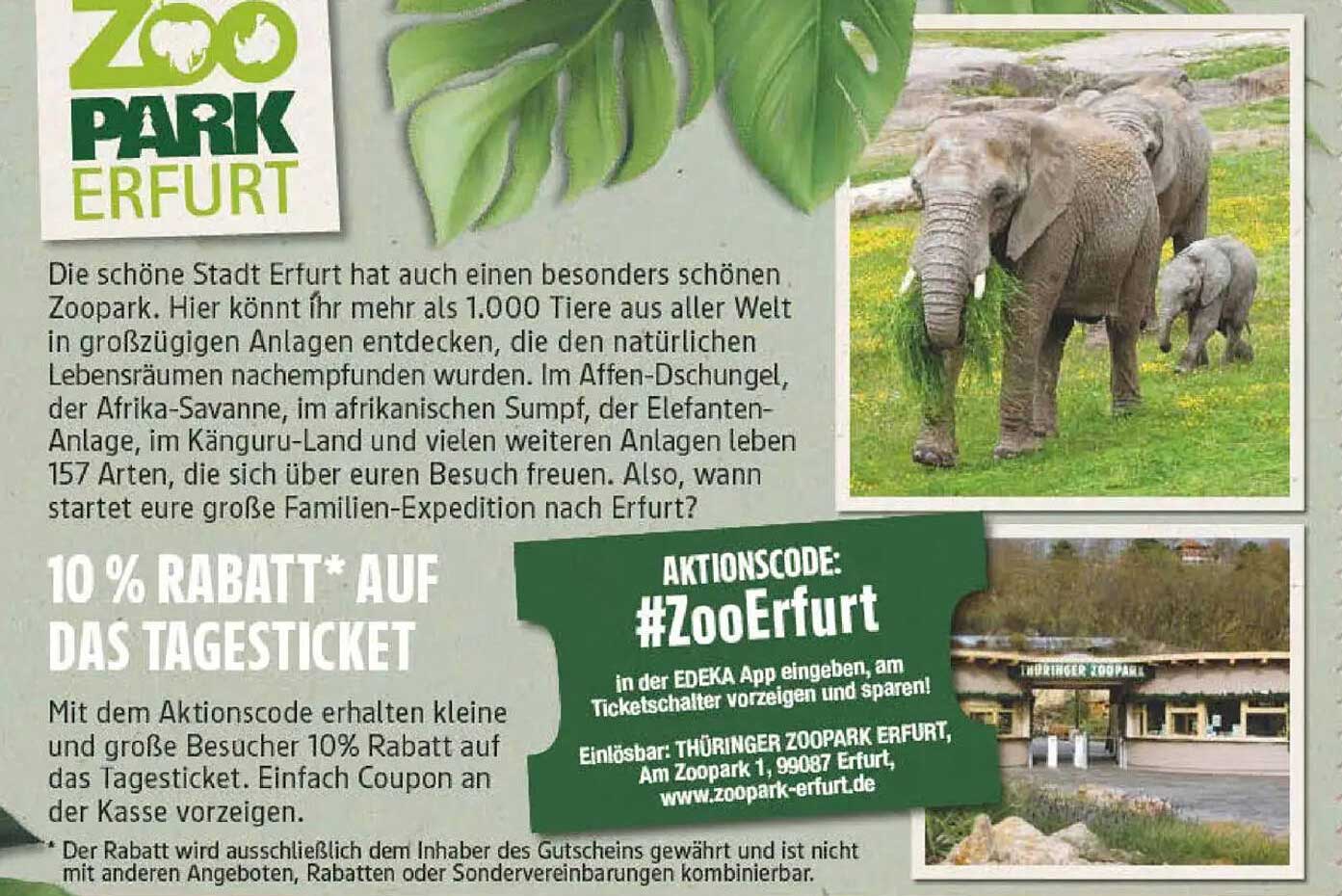 10 % Rabatt auf das Tagesticket im Thüringer Zoopark Erfurt