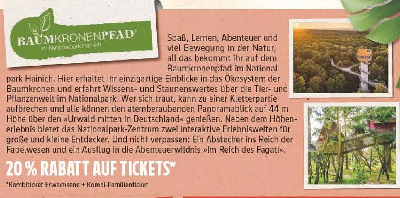 20 % Rabatt auf Tickets für den Baumkronenpfad im Nationalpark Hainich