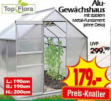 Alu-Gewächshaus mit stabilem Metal- Fundament