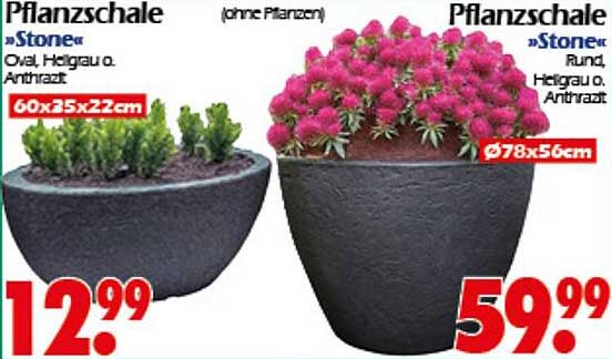 Pflanzschale »Stone« oval, Hellgrau o. Anthrazit 60x35x22 cm