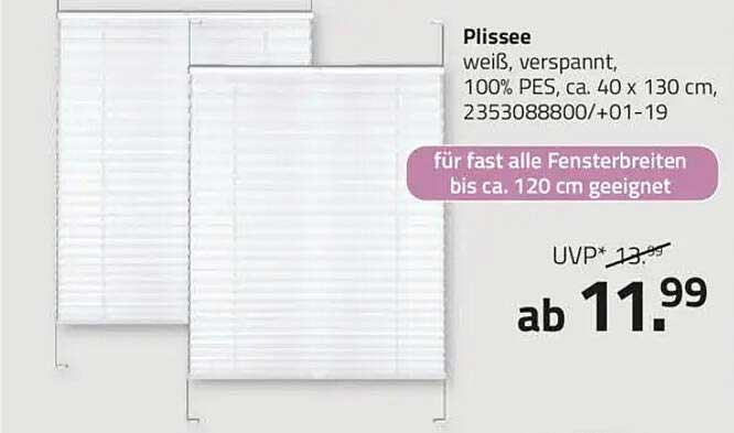 Plissees in Weiß - Ideal für jedes Fenster