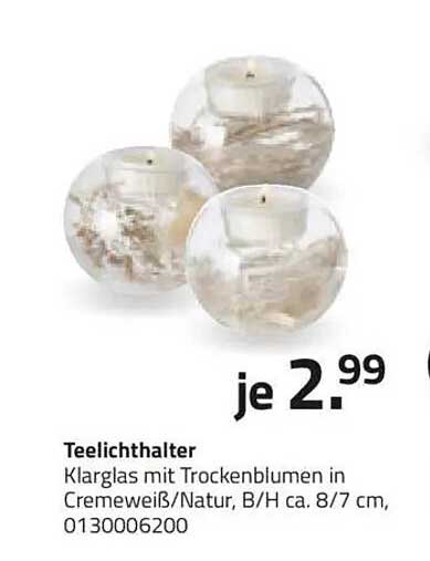 Teelichthalter Klarglas mit Trockenblumen in Cremeweiß/Natur