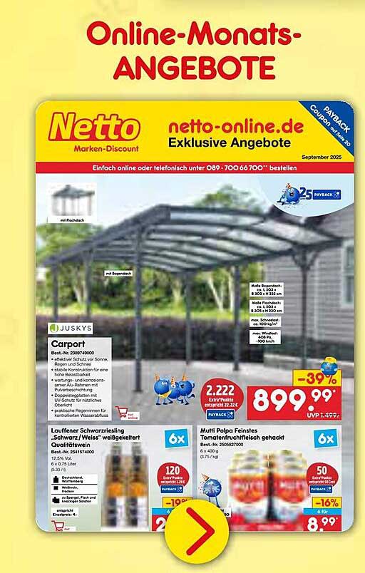 Carport von Juskys – Ihr perfekter Schutz für das Fahrzeug
