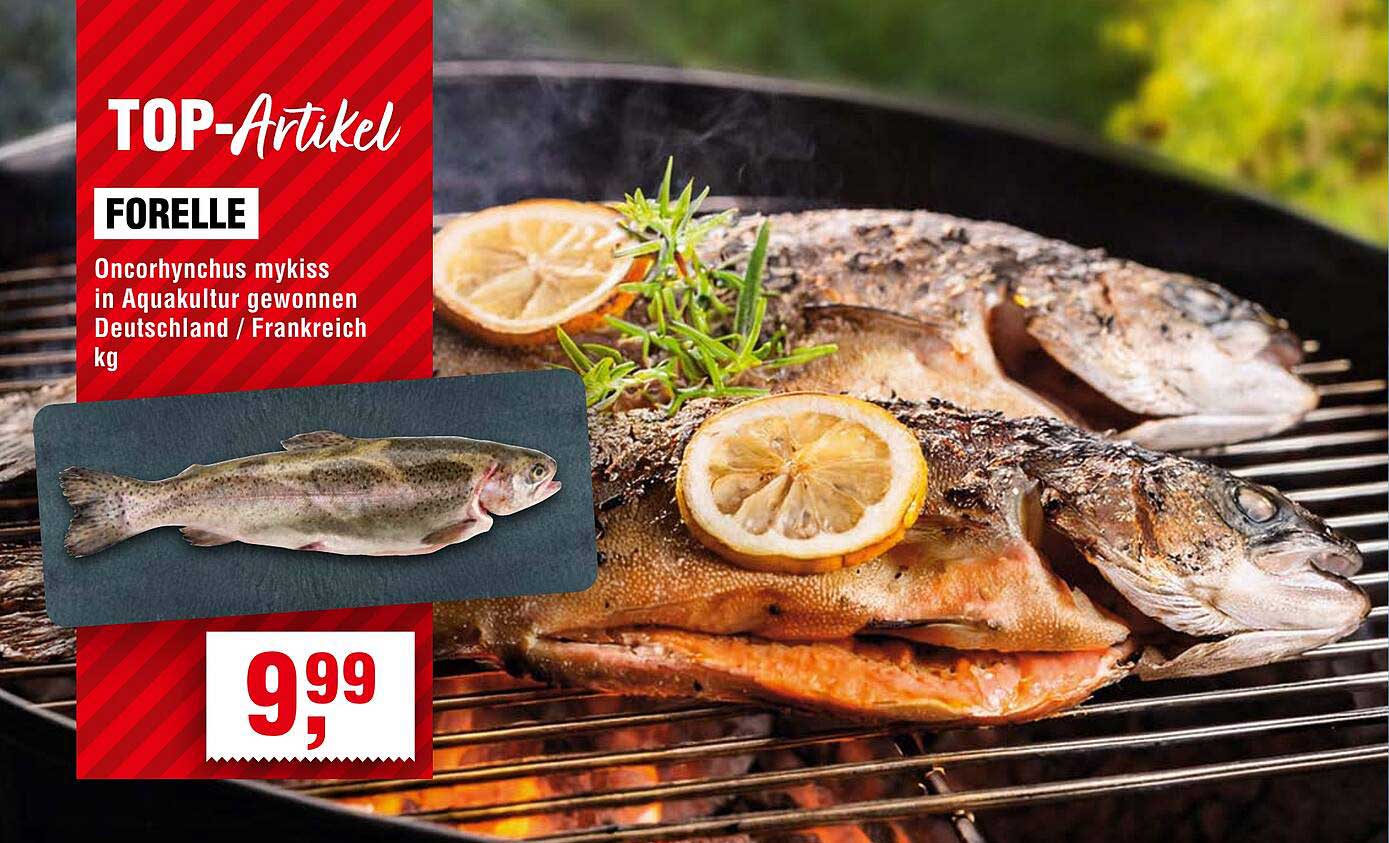 Forelle – Oncorhynchus mykiss in Aquakultur gewonnen