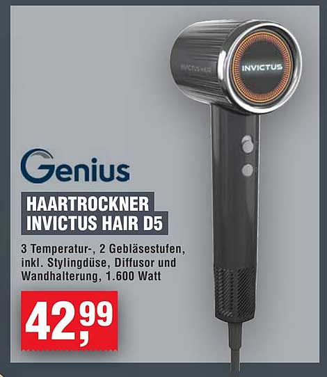 HAARTROCKNER INVICTUS HAIR D5
