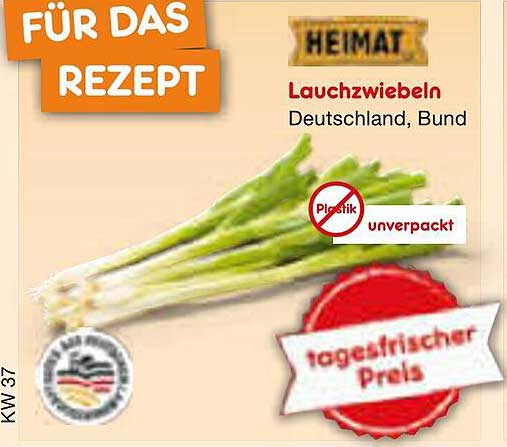 Lauchzwiebeln - Unverpackt und frisch aus Deutschland