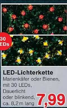 LED-Lichterkette Marienkäfer oder Bienen, mit 30 LEDs