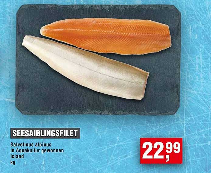 Seesaiblingsfilet - Salvelinus alpinus in Aquakultur gewonnen aus Island