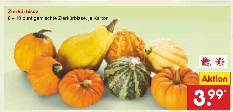 Zierkürbisse – 8 – 10 bunt gemischte Zierkürbisse, je Karton