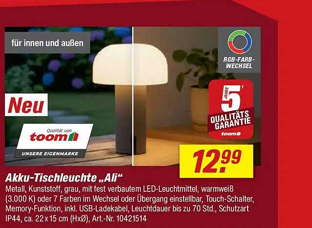 Akku-Tischleuchte "Ali"