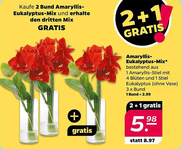 Amaryllis-Eukalyptus-Mix – 2 kaufen, 1 gratis