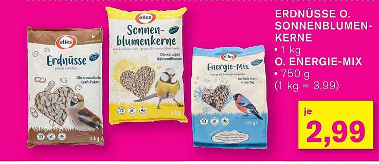 Erdnüsse oder Sonnenblumenkerne – die perfekten Nahrungsquellen für deine Gartenbewohner