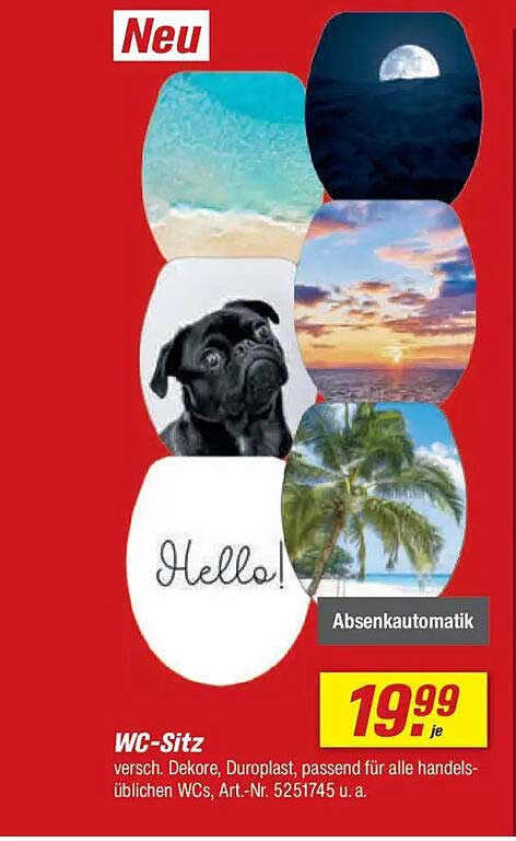 WC-Sitz mit verschiedenen Dekoren und Absenkautomatik