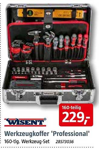 WISENT Werkzeugkoffer 'Professional' - 160-tlg. Werkzeug-Set