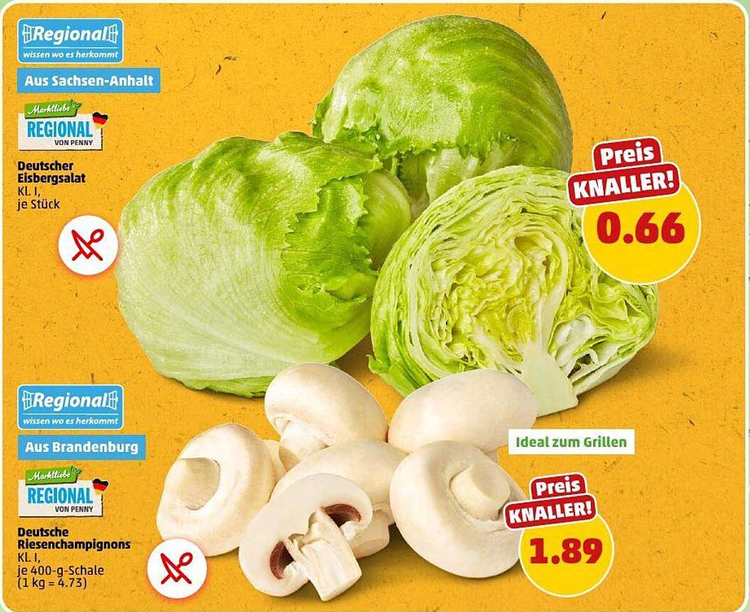 Deutscher Eisbergsalat und Deutsche Riesenchampignons