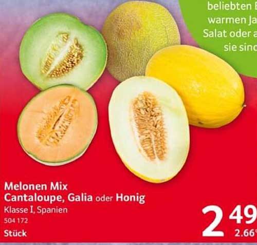 Melonen Mix Cantaloupe, Galia oder Honig