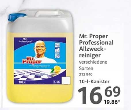 Mr. Proper Professional Allzweckreiniger - verschiedene Sorten