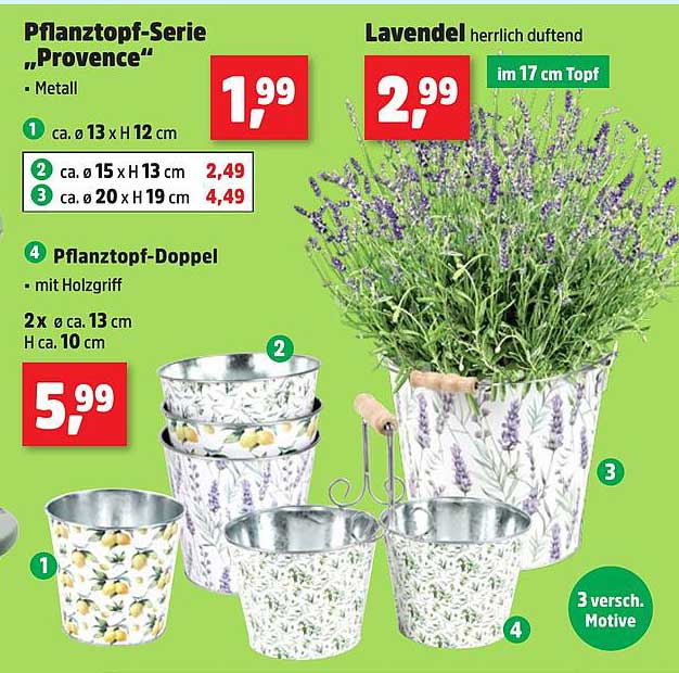 Pflanztopf-Serie „Provence“ und Lavendel