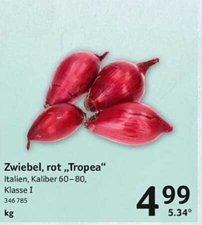 Zwiebel, rot „Tropea“ - Italienische Qualität zum Sparpreis