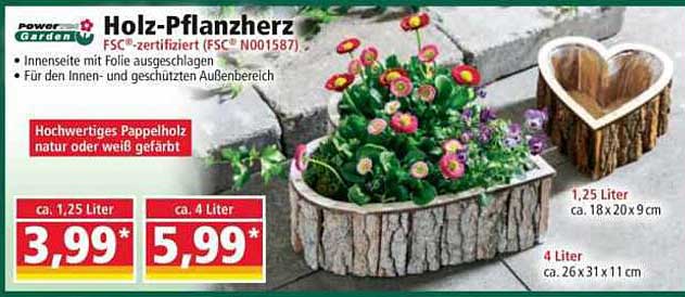 Holz-Pflanzherz