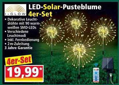 LED-Solar-Pusteblume 4er-Set