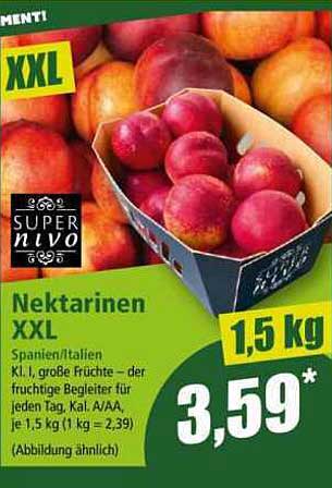 Nektarinen XXL