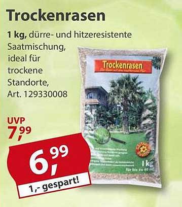 Trockenrasen