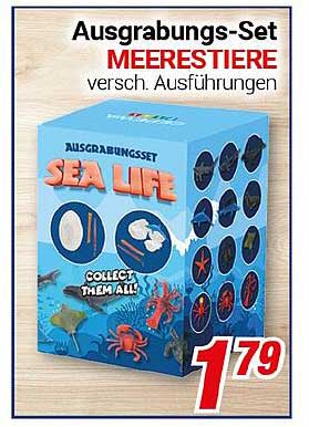 Ausgrabungs-Set MEERESTIERE - verschied. Ausführungen
