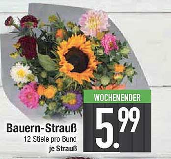 Bauern-Strauß - 12 Stiele pro Bund je Strauß