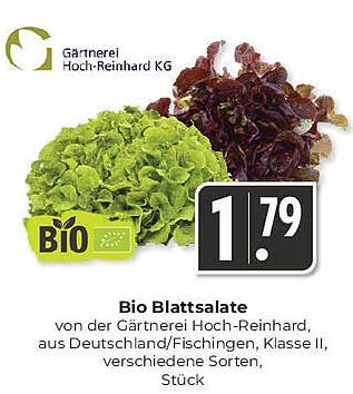 Bio Blattsalate von der Gärtnerei Hoch-Reinhard