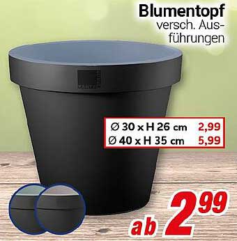 Blumentopf verschiedene Ausführungen