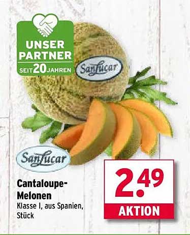 Cantaloupe-Melonen Klasse I, aus Spanien, Stück