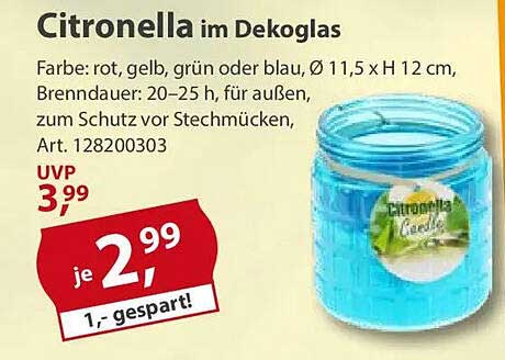 Citronella im Dekoglas
