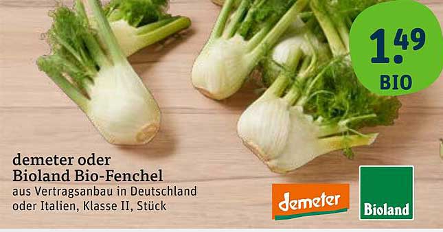demeter oder Bioland Bio-Fenchel aus Vertragsanbau in Deutschland oder Italien, Klasse II, Stück