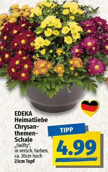 EDEKA Heimatliebe Chrysanthemen-Schale "Swifty"