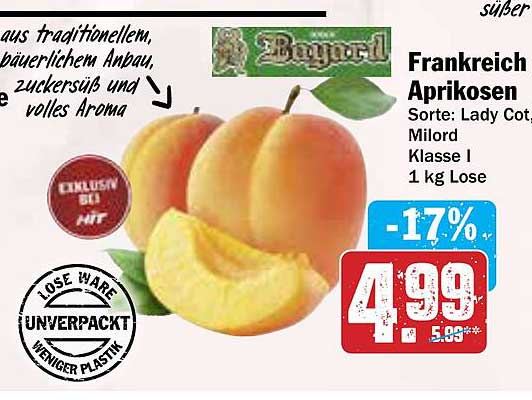 Frankreich Aprikosen Sorte: Lady Cot Milord Klasse I 1 kg Lose