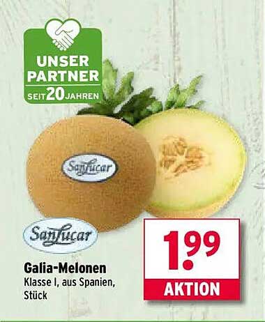 Galia-Melonen - Klasse I, aus Spanien, Stück