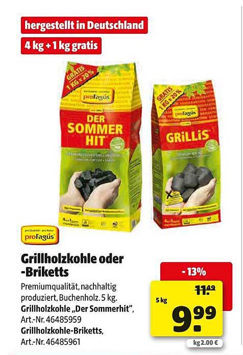 Grillholz-Kohle "Der Sommerhit" oder Grillis