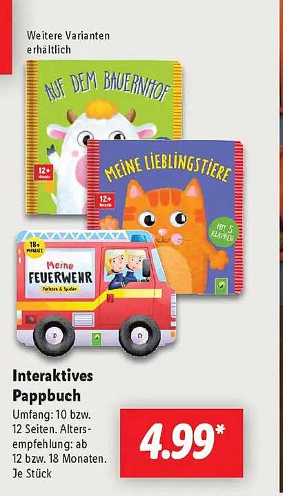 Interaktives Pappbuch