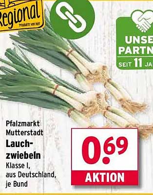 Lauchzwiebeln Klasse I, aus Deutschland, je Bund