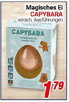 Magisches Ei CAPYBARA - verschiedene Ausführungen