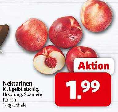 Nektarinen Kl. I, gelbfleischig, Ursprung: Spanien/Italien - 1-kg-Schale