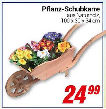 Pflanz-Schubkarre aus Naturholz, 100 x 30 x 34 cm